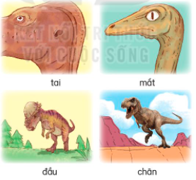 1 tc3acm trong bc3a0i te1bbab nge1bbaf dc3b9ng c491e1bb83 te1baa3 cc3a1c be1bb99 phe1baadn ce1bba7a khe1bba7ng long