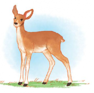 1b trang 24 tieng viet 3 300x298 2