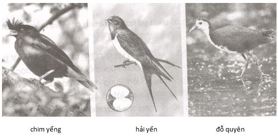 20171104142158hinh 11 sbt tv5t1 1