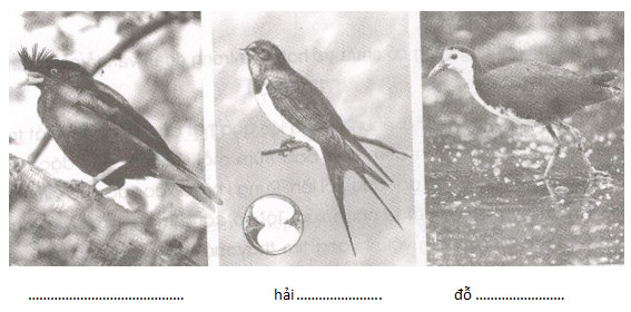 20171104142158hinh 1tv5t1 1