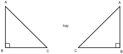 20171106062334bai-68-hinh-2-vbt-toan-lop-3-tap-1