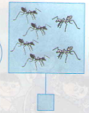 20171107020347bai 23 4 trang 27 sgk toan 5 2 1415843114