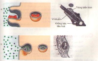 20171107020619bai 2 bai 3 bai 4 trang 29 sgk toan lop 1 2 1415843154