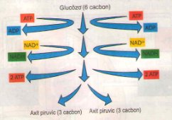 20171107020619bai 2 bai 3 bai 4 trang 29 sgk toan lop 1 8 1415843154