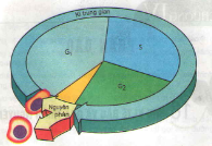 20171107020619bai 2 bai 3 bai 4 trang 29 sgk toan lop 1 9 1415843154