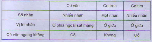 20171107020638bai 2 bai 3 bai 4 trang 31 sgk toan lop 1 7 1415843189