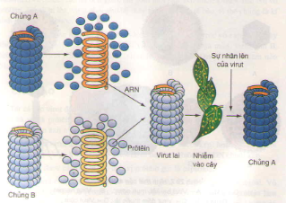 20171107020751bai 2 bai 3 bai 4 bai 5 sgk trang 36 toan lop 1 5 1415843373