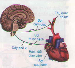 20171107020829bai 1 bai 3 trang 41 sgk toan lop 1 9 1415843533