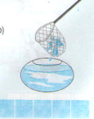 20171107021734ly thuyet ve so 0 trong phep tru toan lop 1 va bai 1 bai 2 bai 3 trang 61 sgk toan lop 1 6 1415844602