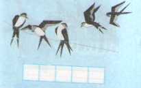 20171107021756bai 1 bai 2 bai 3 bai 4 trang 63 sgk toan lop 1 14 1415844803