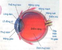 20171107021811bai 1 bai 2 bai 3 bai 4 trang 65 sgk toan lop 1 4 1415844850
