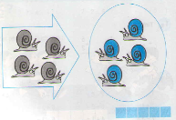 20171107021914bai-1-bai-2-bai-3-bai-4-trang-71-72-sgk-toan-lop-1_8_1415845040 20171107021914bai 1 bai 2 bai 3 bai 4 trang 71 72 sgk toan lop 1 8 1415845040