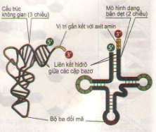 20171107021923bai-1-bai-2-bai-3-bai-4-trang-73-74-sgk-toan-lop-1_11_1415845061 20171107021923bai 1 bai 2 bai 3 bai 4 trang 73 74 sgk toan lop 1 11 1415845061