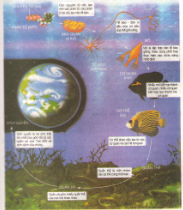 Bài 1,2,3,4 trang 73, 74 sgk Toán lớp 1: Phép trừ trong phạm vi 8 1 20171107021923bai 1 bai 2 bai 3 bai 4 trang 73 74 sgk toan lop 1 1 1415845061