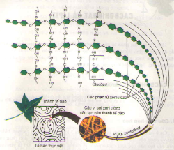 20171107021923bai-1-bai-2-bai-3-bai-4-trang-73-74-sgk-toan-lop-1_7_1415845061 20171107021923bai 1 bai 2 bai 3 bai 4 trang 73 74 sgk toan lop 1 7 1415845061