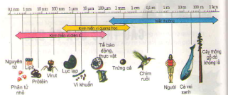 20171107021942bai 1 bai 2 bai 3 bai 4 bai 5 trang 75 sgk toan lop 1 1 1415845108 1