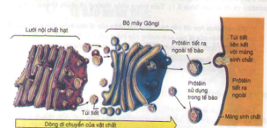 20171107021942bai 1 bai 2 bai 3 bai 4 bai 5 trang 75 sgk toan lop 1 2 1415845108