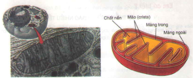 20171107021942bai 1 bai 2 bai 3 bai 4 bai 5 trang 75 sgk toan lop 1 3 1415845108