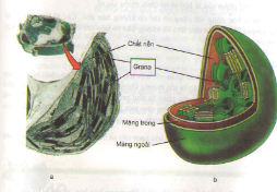 20171107021942bai 1 bai 2 bai 3 bai 4 bai 5 trang 75 sgk toan lop 1 4 1415845108