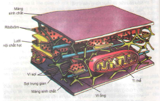 20171107021942bai 1 bai 2 bai 3 bai 4 bai 5 trang 75 sgk toan lop 1 5 1415845108