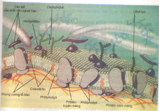 20171107021942bai 1 bai 2 bai 3 bai 4 bai 5 trang 75 sgk toan lop 1 6 1415845108