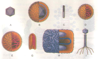 20171107022501bai 3 bai 4 bai 5 trang 89 sgk toan lop 1 10 1416276390
