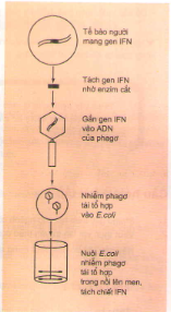 20171107022501bai 3 bai 4 bai 5 trang 89 sgk toan lop 1 13 1416276390