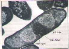 20171107022501bai 3 bai 4 bai 5 trang 89 sgk toan lop 1 1 1416276390 1