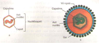 20171107022501bai 3 bai 4 bai 5 trang 89 sgk toan lop 1 9 1416276390
