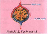 20171107022624bai 1 bai 2 bai 3 trang 97 sgk toan lop 1 3 1416276622