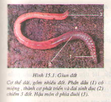 20171107022730bai 1 bai 2 trang 108 sgk toan lop 1 6 1416276810