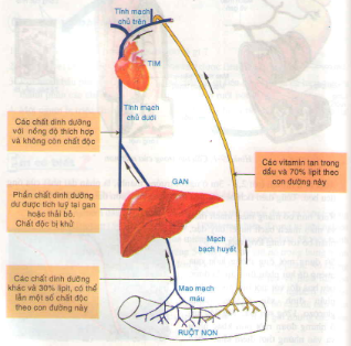 20171107022839bai 2 bai 3 trang 119 sgk toan lop 1 2 1416277245