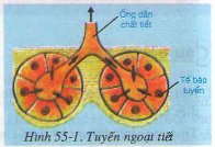 20171107023033bai 1 bai 2 bai 3 bai 4 trang 131 sgk toan lop 1 7 1416277604