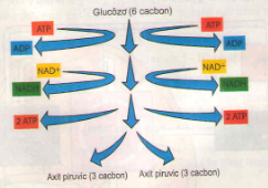 20171107023056bai-1-bai-2-bai-3-bai-4-trang-135-sgk-toan-lop-1_2_1416277708 20171107023056bai 1 bai 2 bai 3 bai 4 trang 135 sgk toan lop 1 2 1416277708