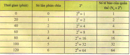 20171107023555ly thuyet ve phep cong trong pham vi 100 cong khong nho toan lop 1 2 1416278253