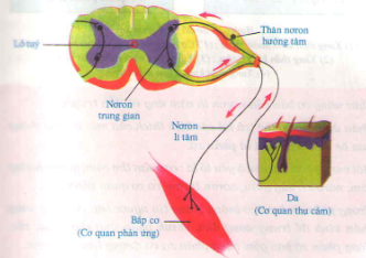 20171107023723bai 1 bai 3 bai 4 trang 163 sgk toan lop 1 2 1416278453 1