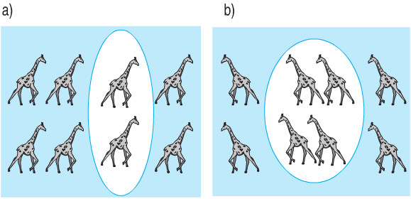 Bài 1, 2, 3, 4, 5 trang 120 sgk Toán 2: Luyện tập trang 120 SGK Toán lớp 2 3 20171107062703bai 5 trang 120 sgk toan 2
