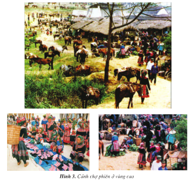 20171108171656hinh 3 t74sgkdl4 1