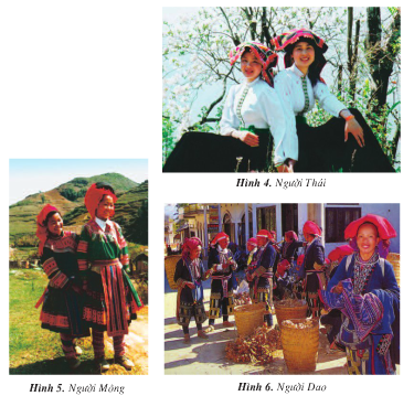 20171108171702quan ao hls 1