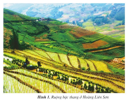 20171108171748hinh 1 t77 sgkdl4 1