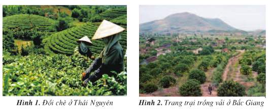 20171108171812hinh tr80 dl4 1