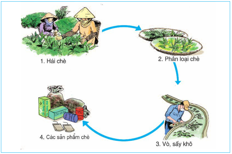 20171108171817che bien che 1