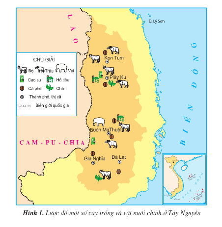 20171108171932hinh1 87 dl4 1 1