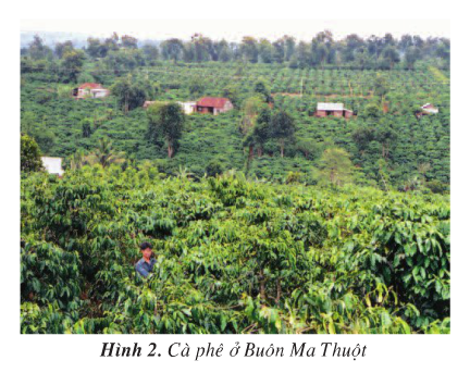 20171108171941hinh2 88 dl4 1