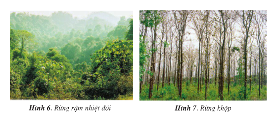 20171108173700hinh-tr91-dl4-1 20171108173700hinh tr91 dl4 1