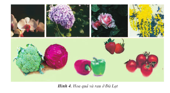 20171108174348hinh 96 dl4 1