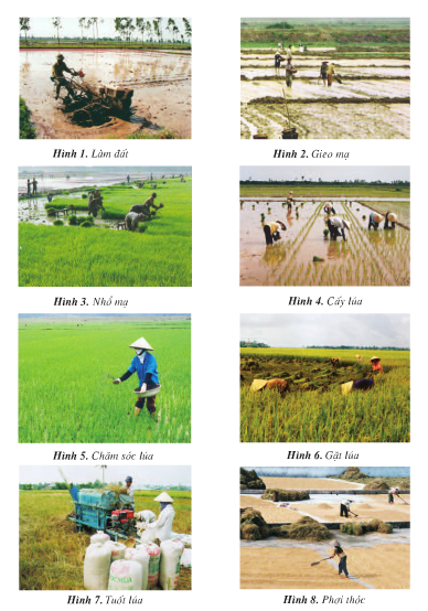 20171108174446hinh 104 dl4 1