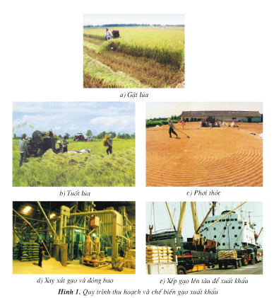 20171108174719hinh 1 122 dl4 1