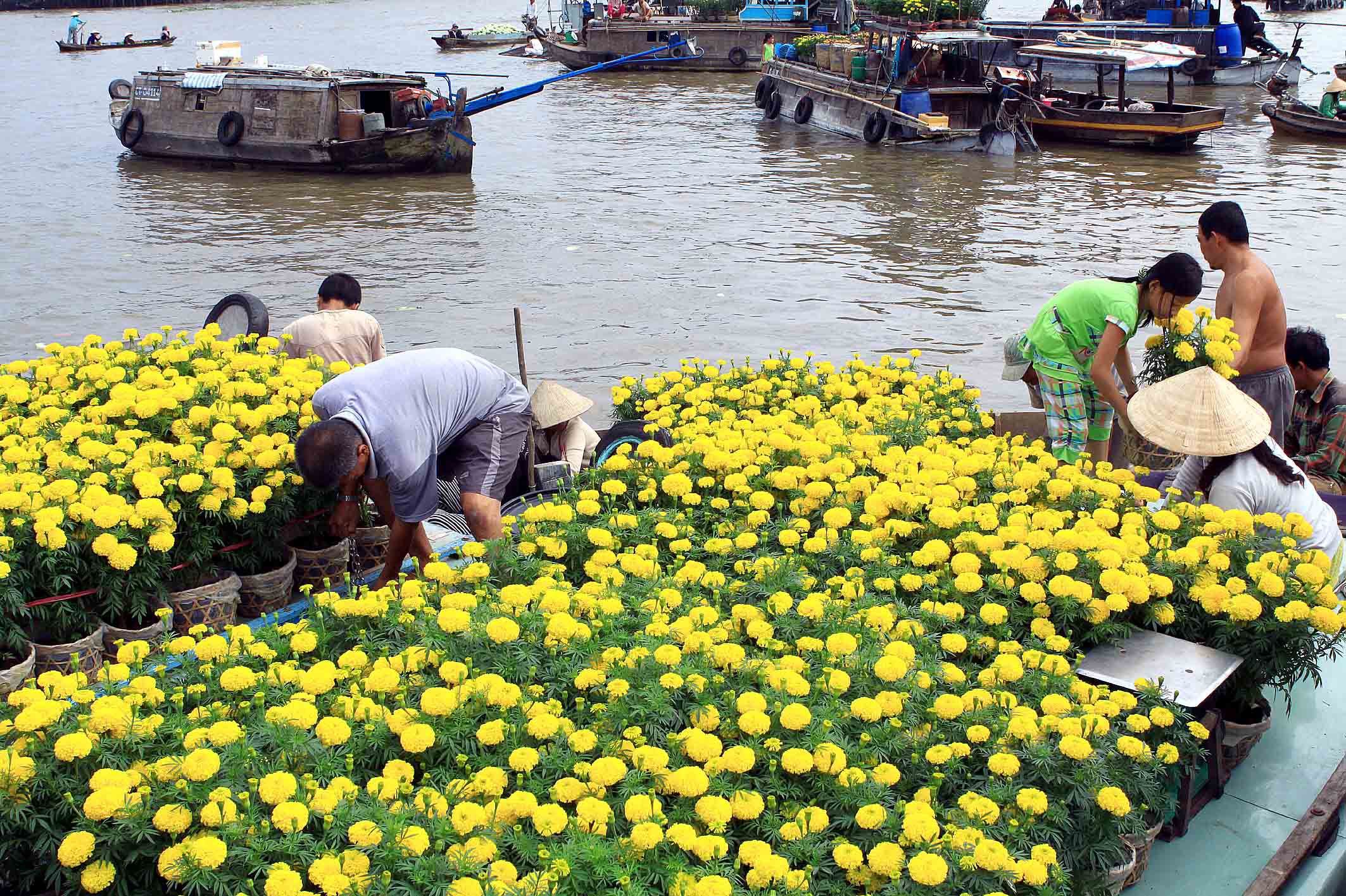 20171108174759cho noi dli 4 3