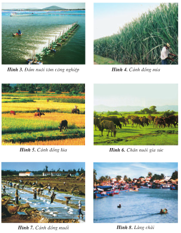 20171108175432hinh139 dl4 1